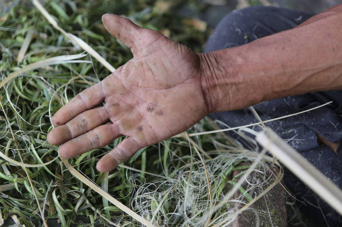 5 Bí quyết nghề đan thuyền thúng câu mực ở Quảng N