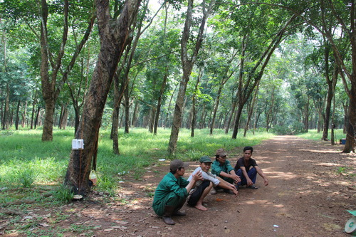 IMG-8343-1764-1413428710-5652-1542020085