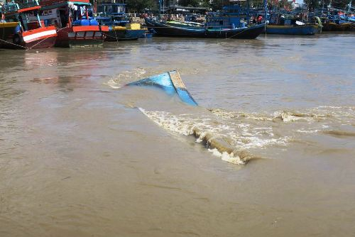 mot-phan-tau-chim-noi-tren-4011-1543287458