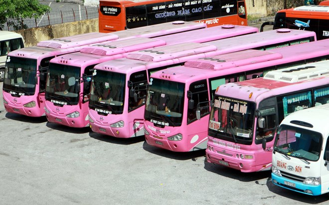 ttxvn_thai_binh_nhieu_lai_xe_khach_tuyen_thai_binh