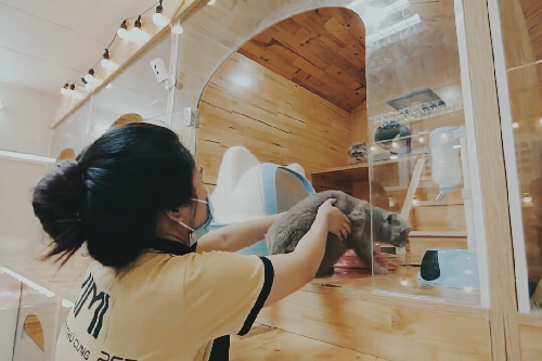 photo-1-15492446175671349666482