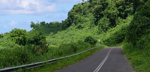 photo-1-1549891085814755263361