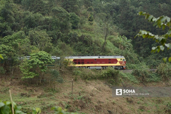 photo-1-15511517872121404810083