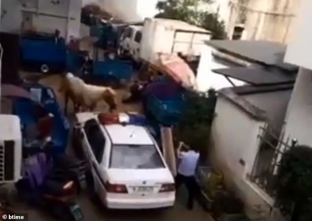 photo-1-155883977574660456024