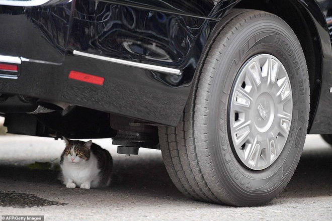 meo2-1559700394475398725772