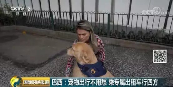 photo-1-15597490769871267862876