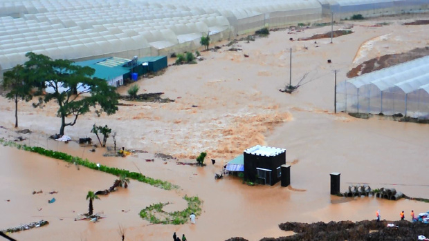 3-15654260203542004750686