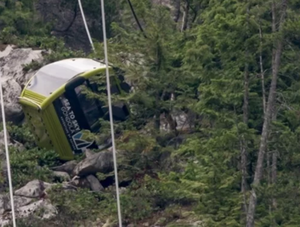 Screen Shot 2019-08-11 at 14.23.22