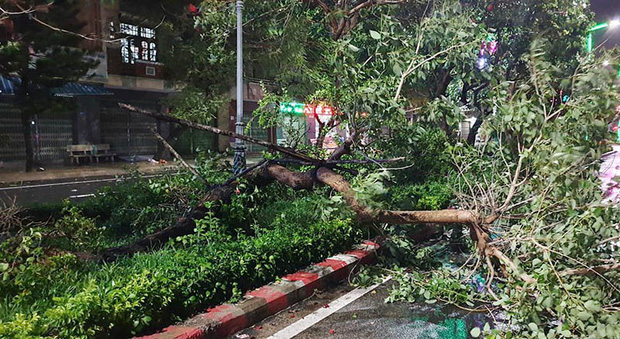 bao-so-6-thiet-haippai-15734464636041363144832