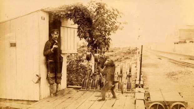 photo-1-1573565408532508549749