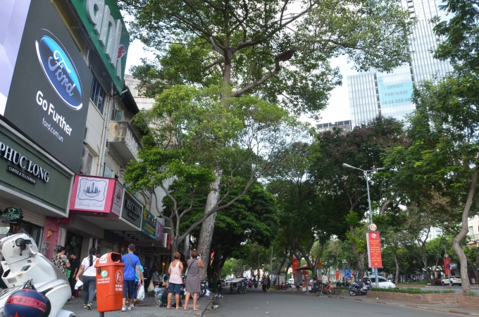 cây xanh đường Lê Lợi