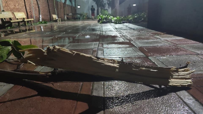 7AD22423-A912-49E8-A8E5-E551DC6BF18C.