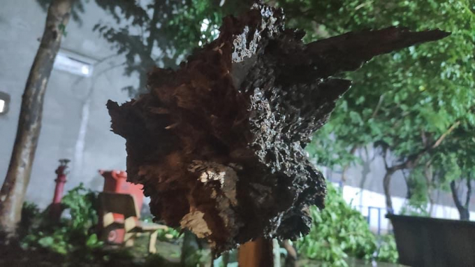 BA7100F8-198D-4570-9AA5-CBF5814083CC.