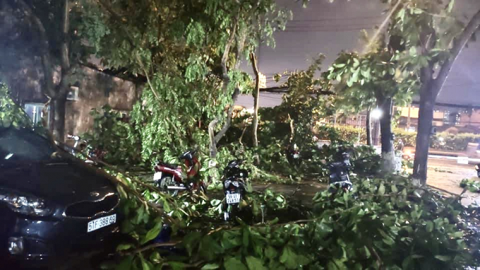 BB72B424-D21C-4381-8956-DCE1AC7203C7.