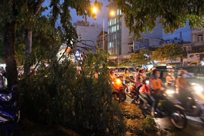 tapchigtvt-mua-lon-11 (3)