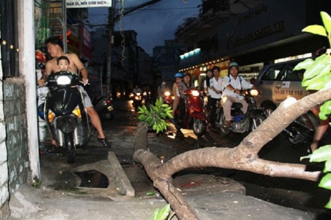 tapchigtvt-mua-lon-11 (5)