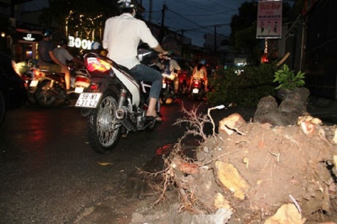 tapchigtvt-mua-lon-11 (6)