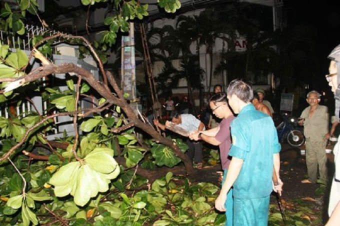 tapchigtvt-mua-lon-11 (9)