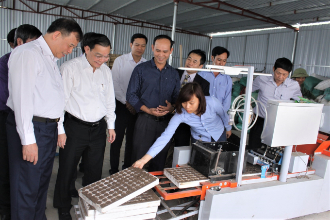 anh 2.1 tham mo hinh trong rau