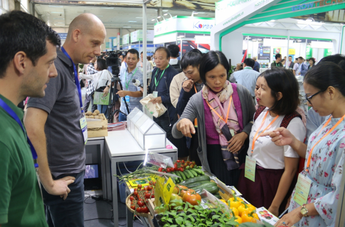 cac dai bieu tham quan gian hang