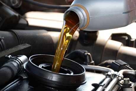 dau-dong-co-8271884_2542020