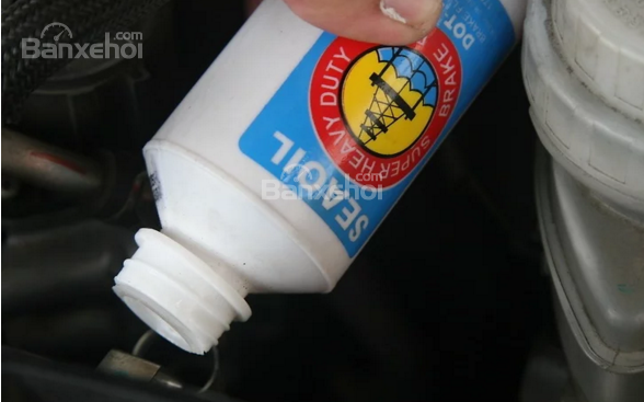 ma-phanh-xe-o-to-ban-f933_wm