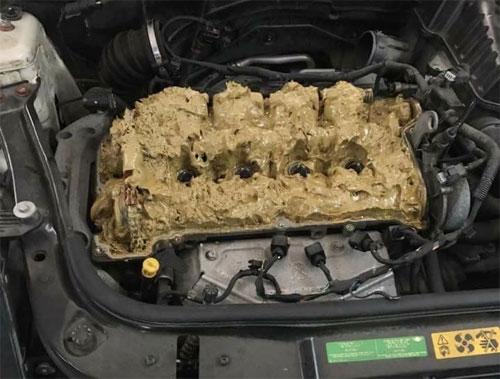 mini-2-4684-1501122432