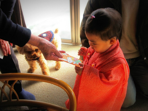 li-xi-nhat-ban-1463-1518087226