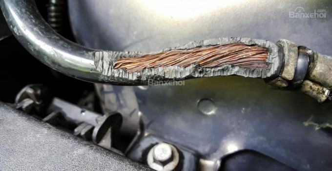 chuot-can-day-dien-b-7426_wm