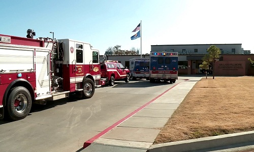 hoc-sinh-bi-cho-tan-cong-8489-1542872835