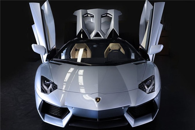 Can-canh-sieu-xe-Lamborghini-Aventador-LP700-4-Roa