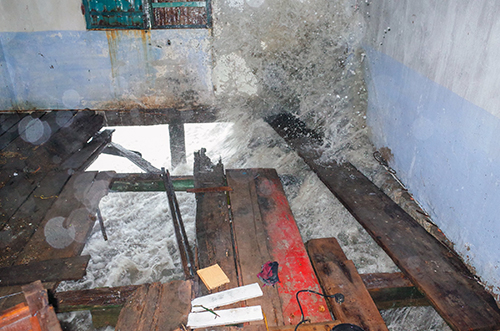 can-gio-2326-1543141122