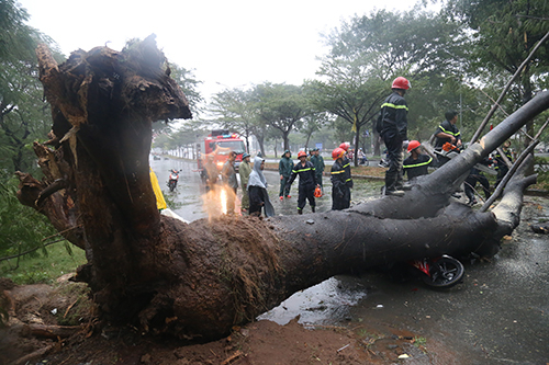 sai-gon-mua-4-7023-1543138421