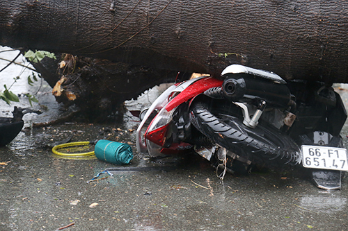 sai-gon-mua-6590-1543138421