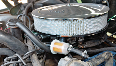 may-yeu-rung-can-so--6a89