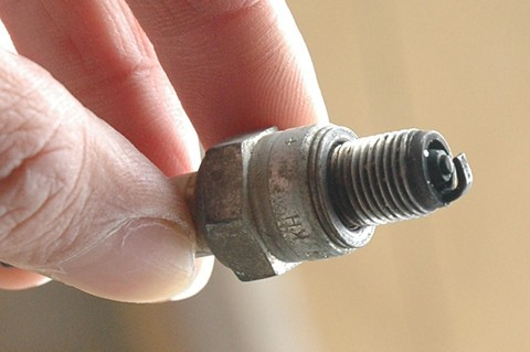 may-yeu-rung-can-so--94b9