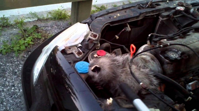 rua-khoang-may-banxe-aeab