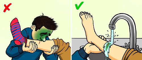 kien-thuc-sinh-ton-2-7437-1549510710