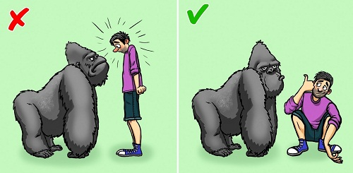 kien-thuc-sinh-ton-3-7759-1549510710