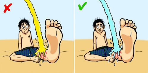 kien-thuc-sinh-ton-4-7550-1549512142