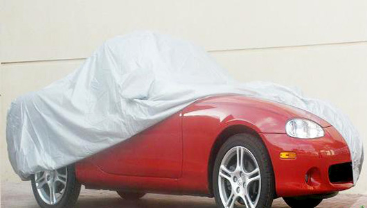 Bat_che_xe2_1275447286