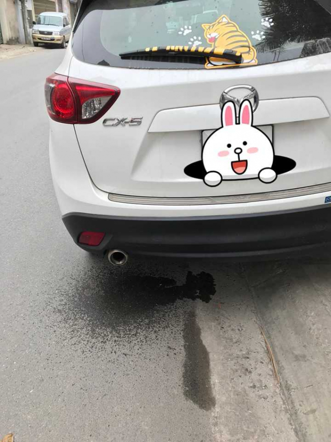 15333305903957886c52f-1553510019