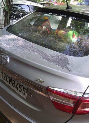 Tata-1-5858-1558338691