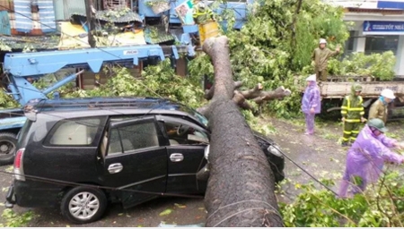 139046_28-7 thiet hai1