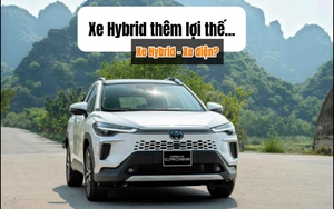 Trường hợp nào tài xế không được lái xe quá 48 giờ từ 1/1/2025?- Ảnh 5.