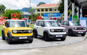 Chi tiết tiến độ các dự án hạ tầng tại Cần Giờ: Một downtown ven biển đang dần thành hình - Ảnh 6.