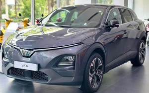 Ngỡ ngàng bán tải VinFast VF3 “độc” nhất Việt Nam, người dùng nói gì?- Ảnh 8.