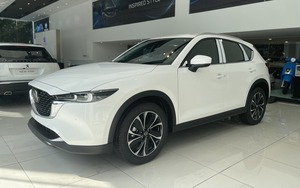 Thị trường ô tô sắp đón chính sách mới, thêm cạnh tranh giúp giá xe rẻ - Ảnh 6.