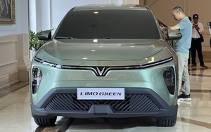 Chuyên gia Ấn Độ đánh giá VinFast VF7 - Ảnh 8.