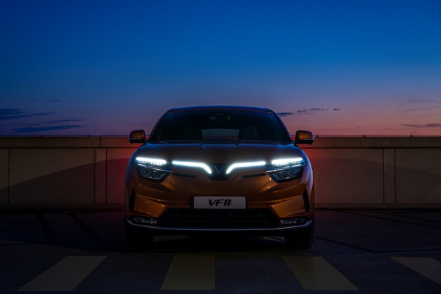 VinFast chính thức đưa hai mẫu xe VF8 và VF9 tham gia Triển lãm xe điện tại Hà Lan - Ảnh 1.